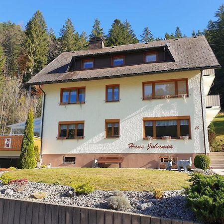 Haus Johanna Todtmoos Exteriör bild