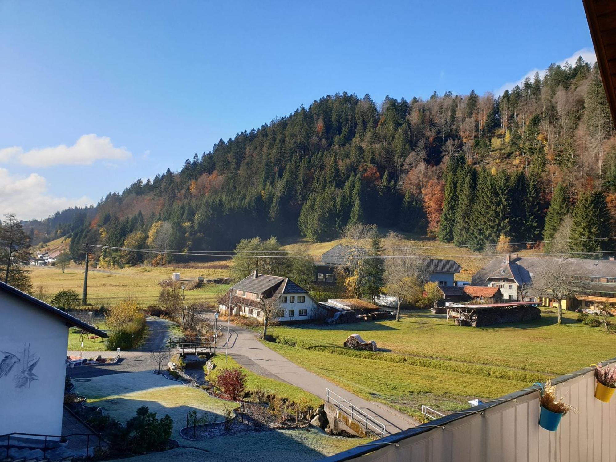 Haus Johanna Todtmoos Exteriör bild